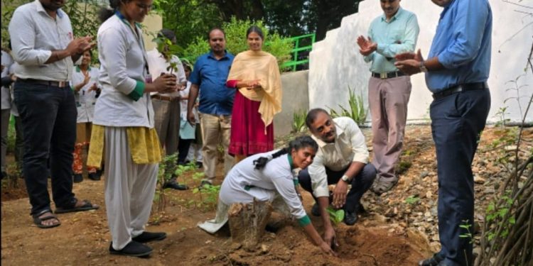 Rooting for a Brighter Future!